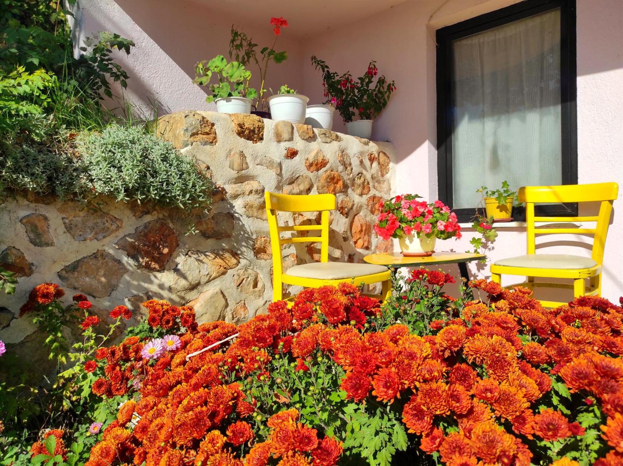 Villa Forest Paradise Охрид Экстерьер фото
